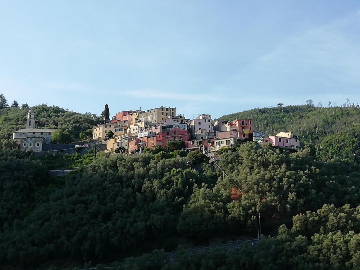 Casa Lorenzo Sulle Colline Di Levanto E Vicino Alle Cinqueterre Lt-0620 Екстериор снимка